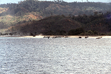1973 Joint Exercise with PI Military